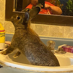 Meet your Posher, Mel